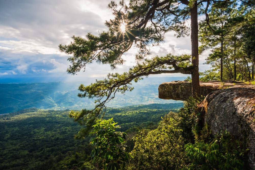 Parco nazionale di Phu Kradueng