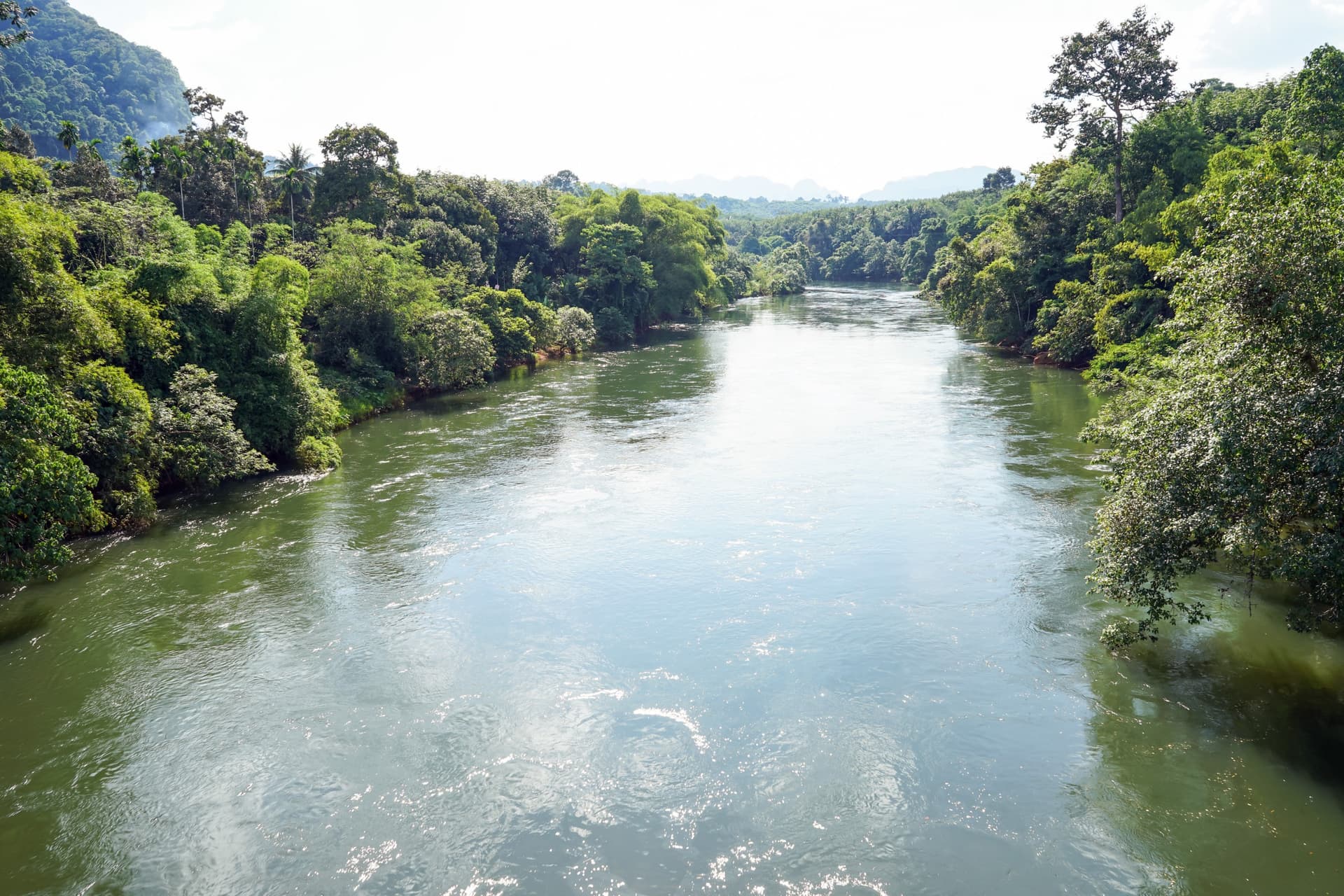 Réserve faunique de Khlong Saeng