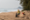 Pulire le spiagge della Thailandia e raccogliere i rifiuti con Trash Hero